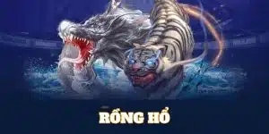 rồng hổ